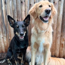Kona and Charlie