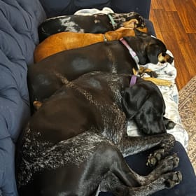 Magnolia1 Montego2 Aurora3 Lilo4