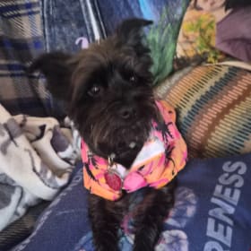 Milo