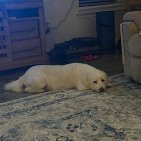 Olaf