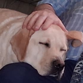 Gracie