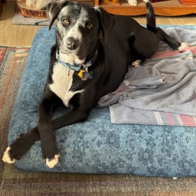 Maggie