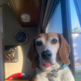 Baxter