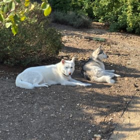 Shadow and Kaia