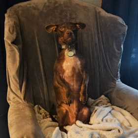 Meatball