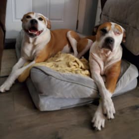 Sadie and Storm