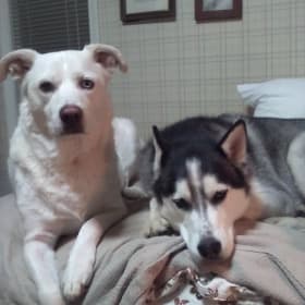 Max and Nala