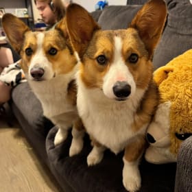 Ollie and Mabel