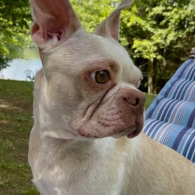 Gus