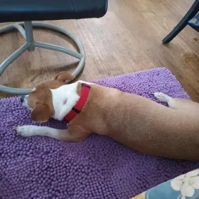 Finn Finnegan