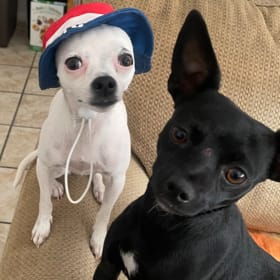 Ava and Ellie