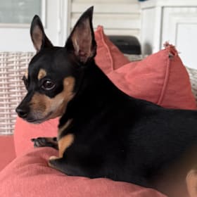 Lola