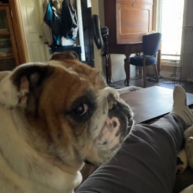 Winnie