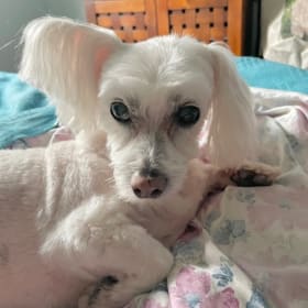 Maddie