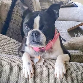 Molly