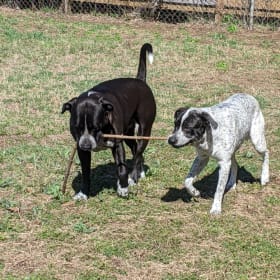 Atlas and Delta