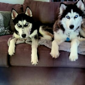 Mayhem and Zoey