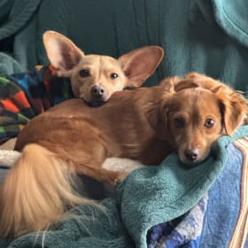 Moe and Maggie
