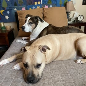 Bowser and Bailey