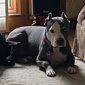 Lola