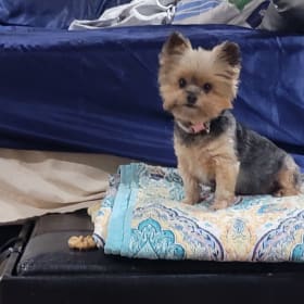Ella