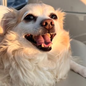 Chico