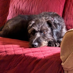 Flossie Mae