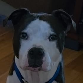 Rosco