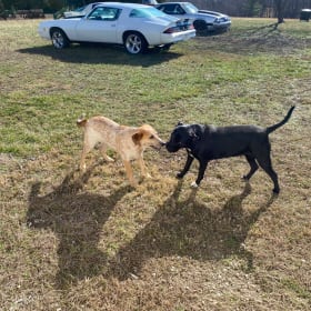 Annie and Charlie