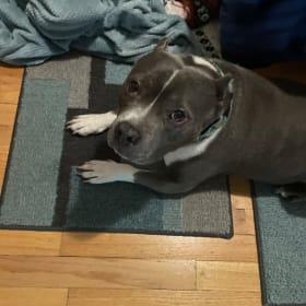 Nova