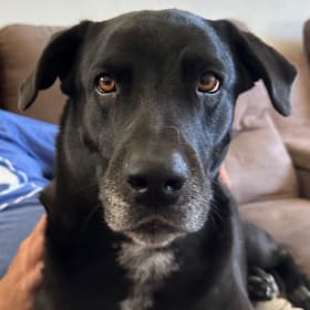 Mikita
