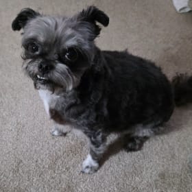 Bella Mae