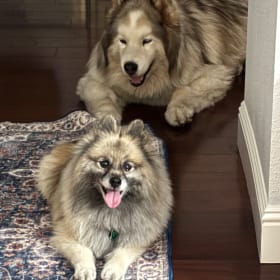 Lexi and Otto