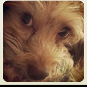 Princess Libby