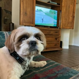 Orville