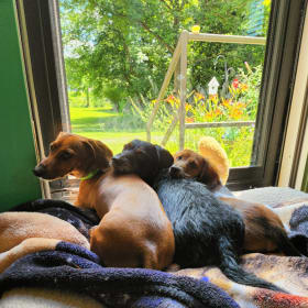 The Weenies of Judgment