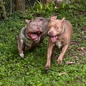 Frank and Bruce
