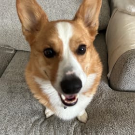 Oz