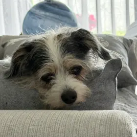 Ruthie