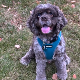 Benny