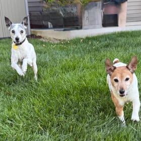 Mickey and Rosie