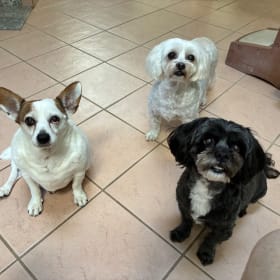 Joey Ella Callie