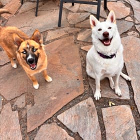 Kala and Luna