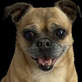 Mildred