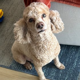 Rusty