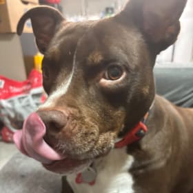 Rosie