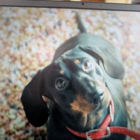 Tucker