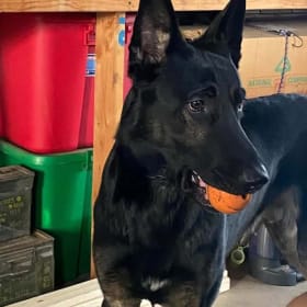 Max