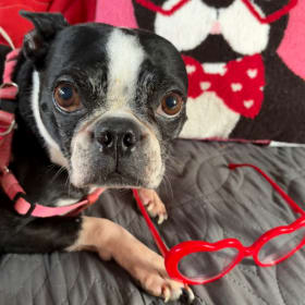 LuLu