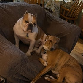 Butch and Blaze